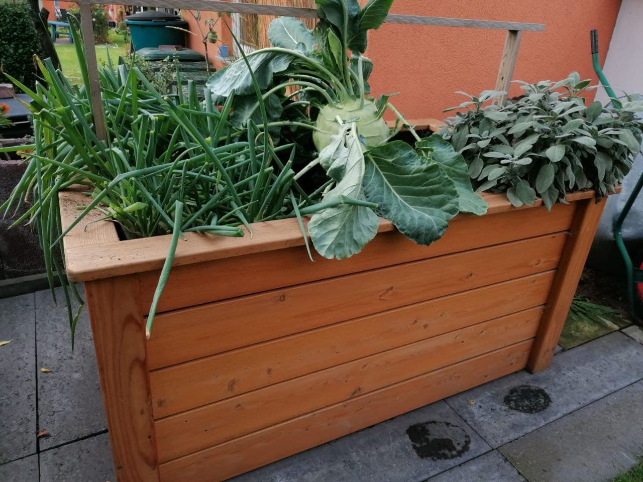 Ernteerfolg_mit_einem_individuellen_Hochbeet