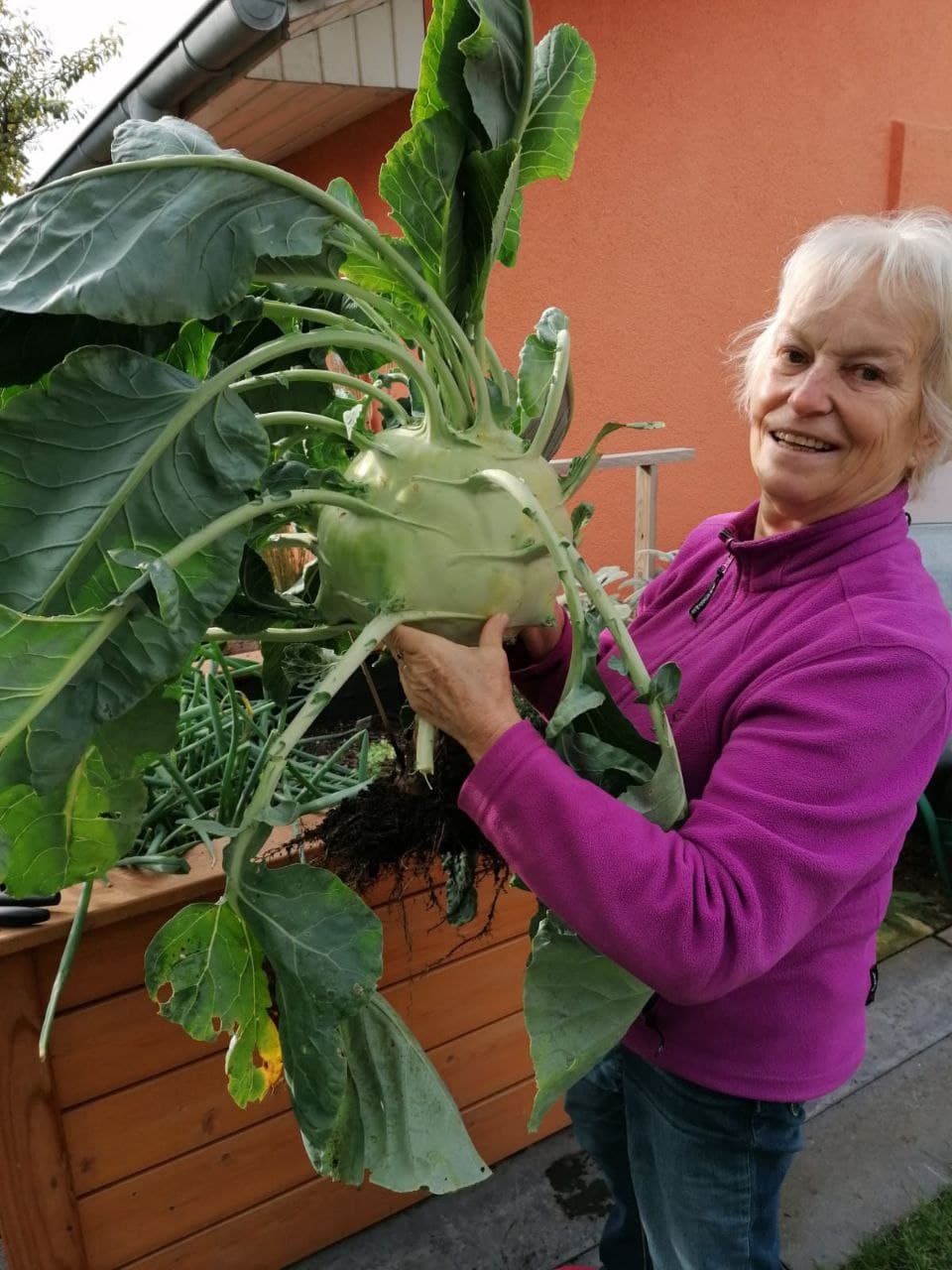 Hochbeet-Farmer_präsemtiert_riesen_Kohlrabi
