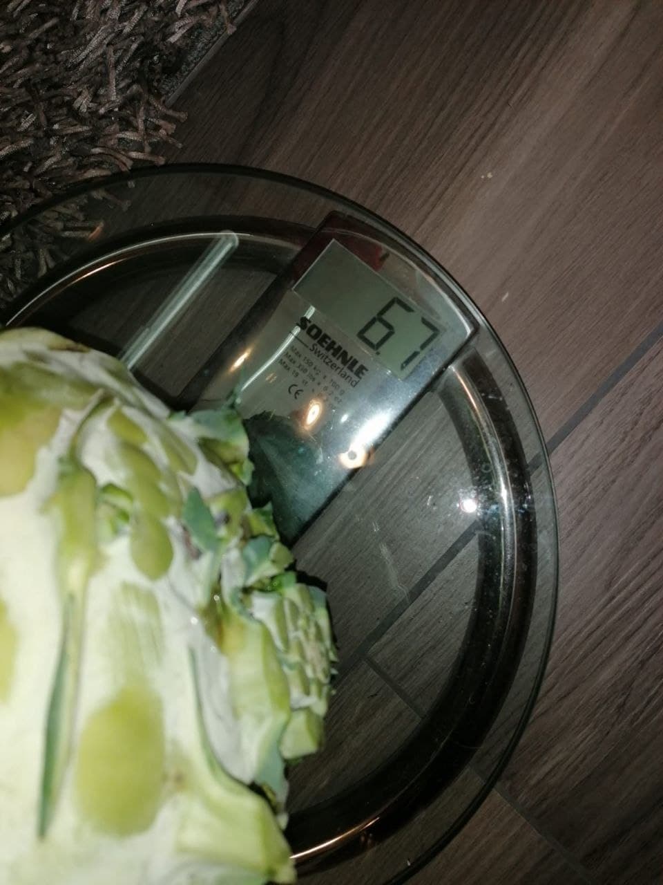 Kohlrabi_6,7kg_schwer